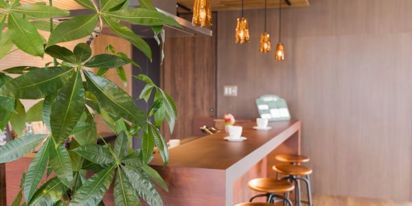 枚方の音楽文化と街の特徴｜京阪沿線に息づく“音のある暮らし”