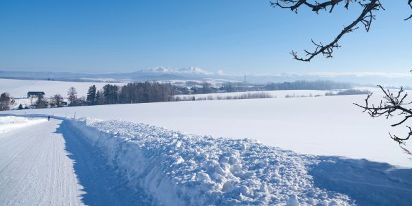 レコード 買取 北海道