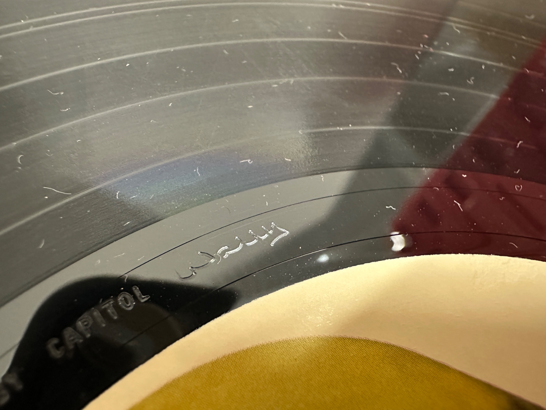 レコード盤面の細かな傷やほこりが確認できる様子